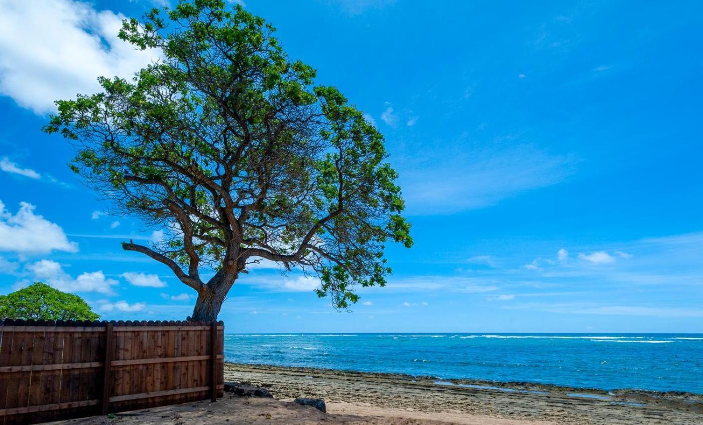 Ferienwohnung Kauai Kailani 218 Kapa'a Exterior foto